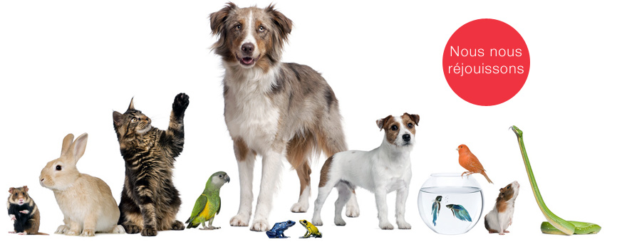 Ouverture officielle du laboratoire